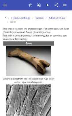 Body tissues android App screenshot 4