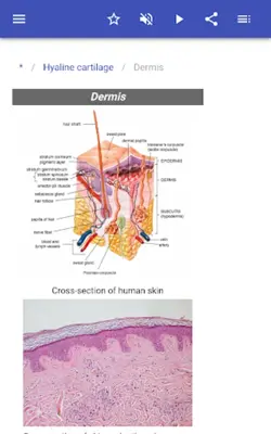 Body tissues android App screenshot 6